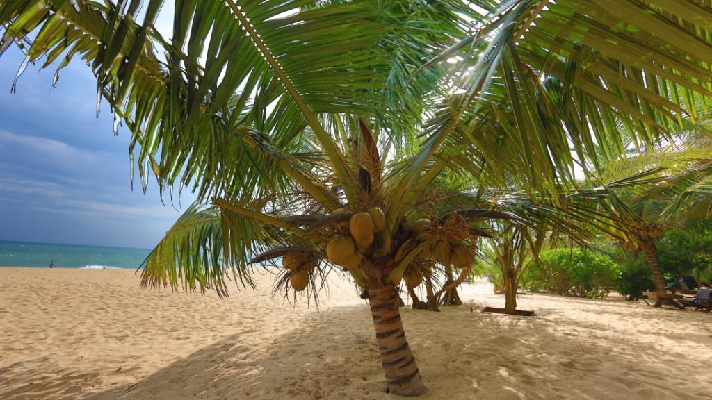 Mangrove Beach Cabana Tangalle Exteriör bild