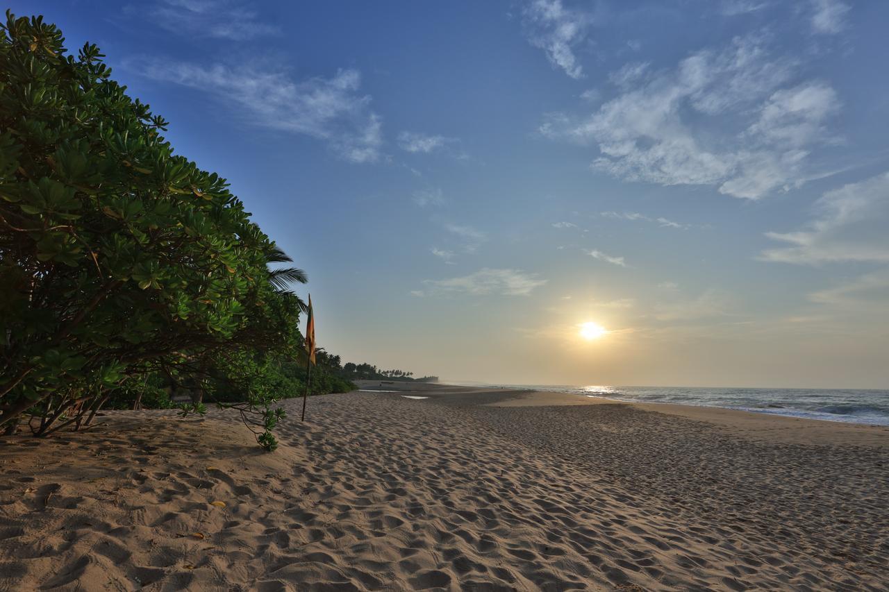 Mangrove Beach Cabana Tangalle Exteriör bild