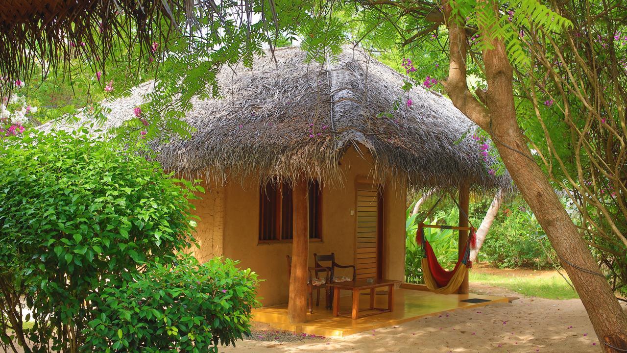 Mangrove Beach Cabana Tangalle Exteriör bild