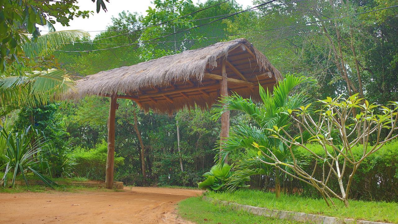 Mangrove Beach Cabana Tangalle Exteriör bild